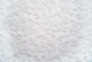 Plaster background floral pattern_edited.jpg