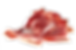 jambon-pata-negra-bellota-iberique.png